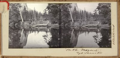 On the Merced, Yosemite by Carleton E. Watkins